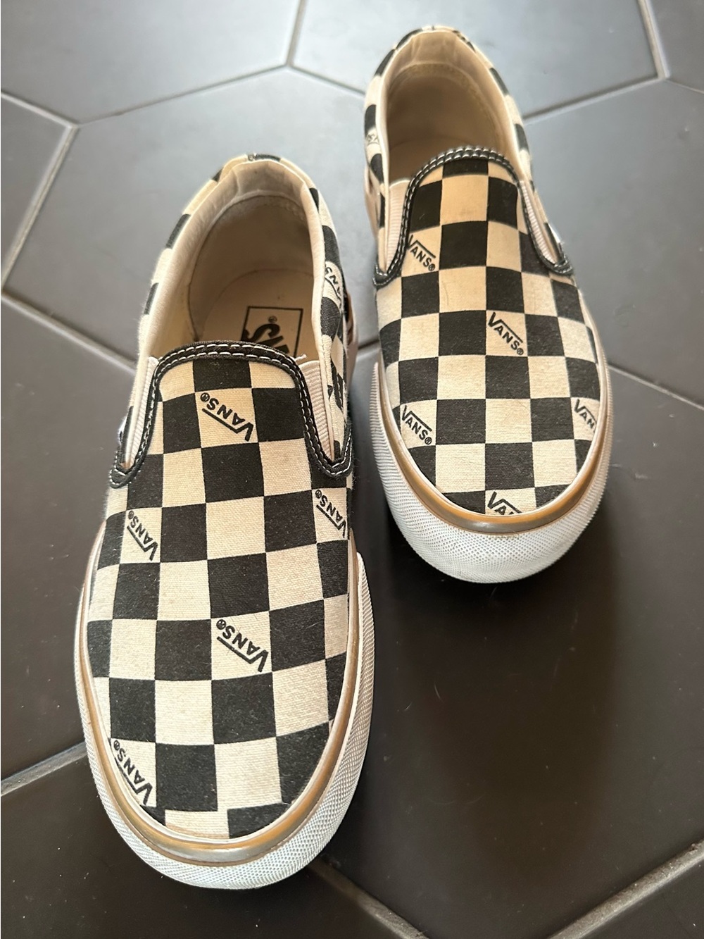 Vans Checkered Slip-On Platform Stacked Skate Shoe